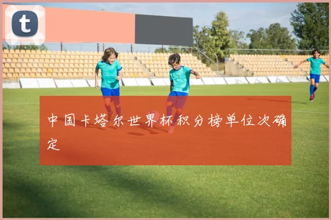 中国卡塔尔世界杯积分榜单位次确定